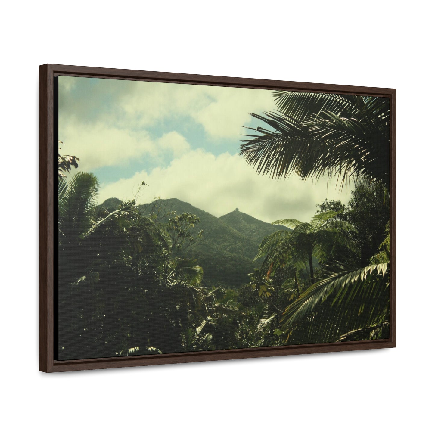 Rainforest Trails & Views - Gallery Canvas Wraps, Horizontal Frame - El Yunque National Forest - Puerto Rico - View of East Peak radars from closed road PR 191 - Green Forest Home