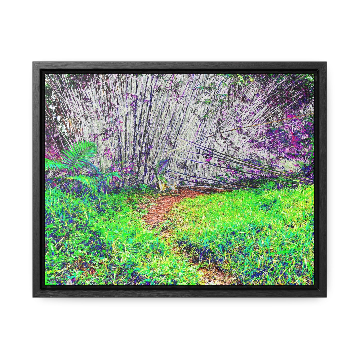 Rainforest Trails & Views - Gallery Canvas Wraps, Horizontal Frame - El Yunque National Forest - Puerto Rico - Path in camping zone near peaks - Color Enhanced - Green Forest Home