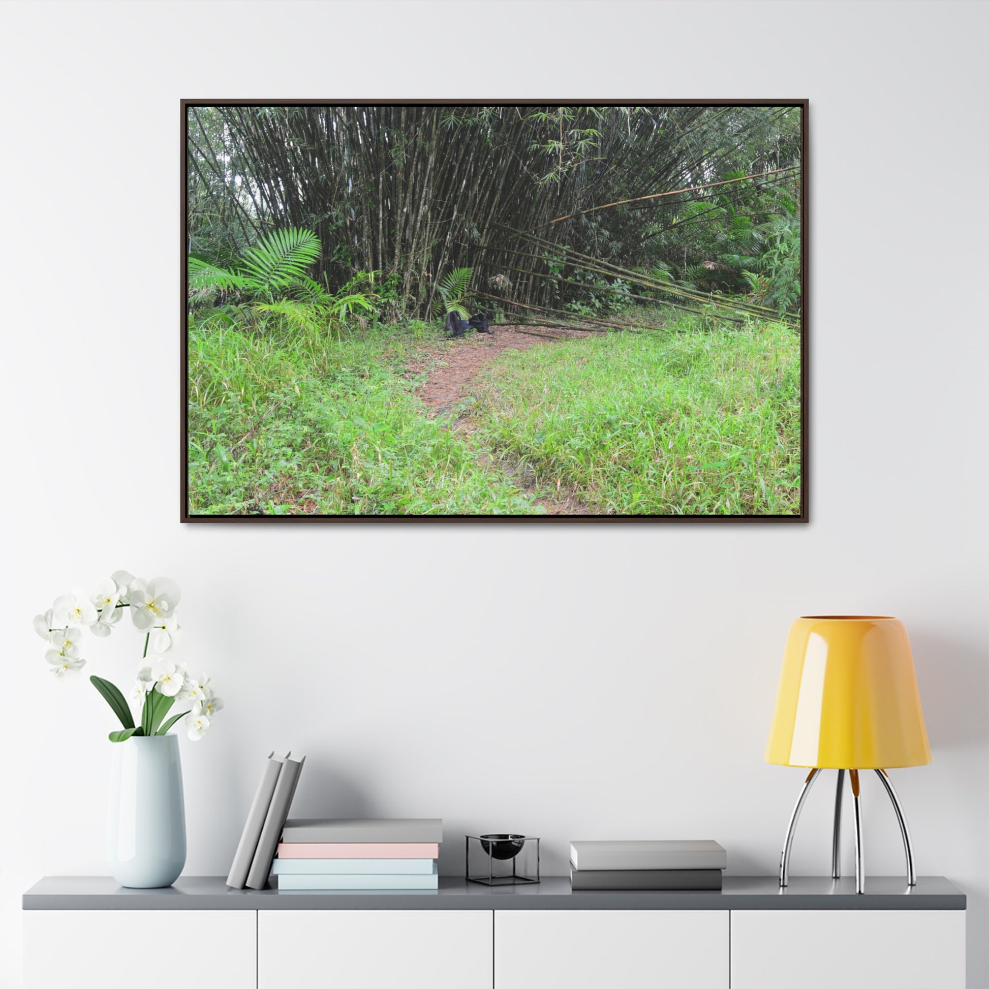 Rainforest Trails & Views - Gallery Canvas Wraps, Horizontal Frame - El Yunque National Forest - Puerto Rico - Path in camping zone near peaks - Green Forest Home