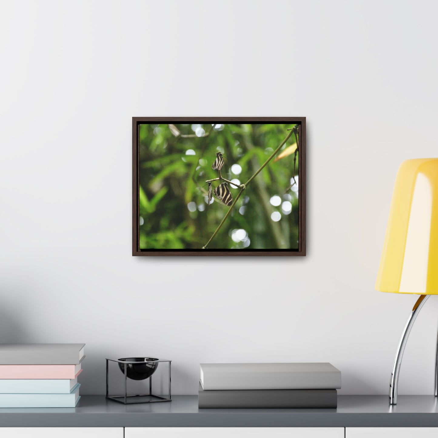 Rainforest Trails & Views - Gallery Canvas Wraps, Horizontal Frame - El Yunque National Forest - Puerto Rico - Butterflies in the forest