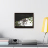 Rainforest Trails & Views - Gallery Canvas Wraps, Horizontal Frame - El Yunque National Forest - Puerto Rico - Lizard in readyness - Green Forest Home