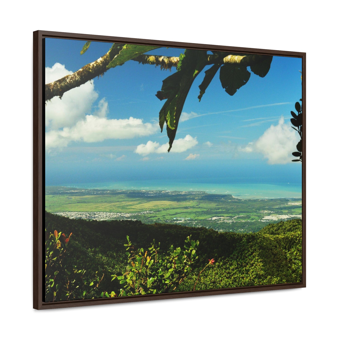 Rainforest Trails & Views - Gallery Canvas Wraps, Horizontal Frame - El Yunque National Forest - Puerto Rico - View from Tres Picachos - El Yunque Trail - Green Forest Home