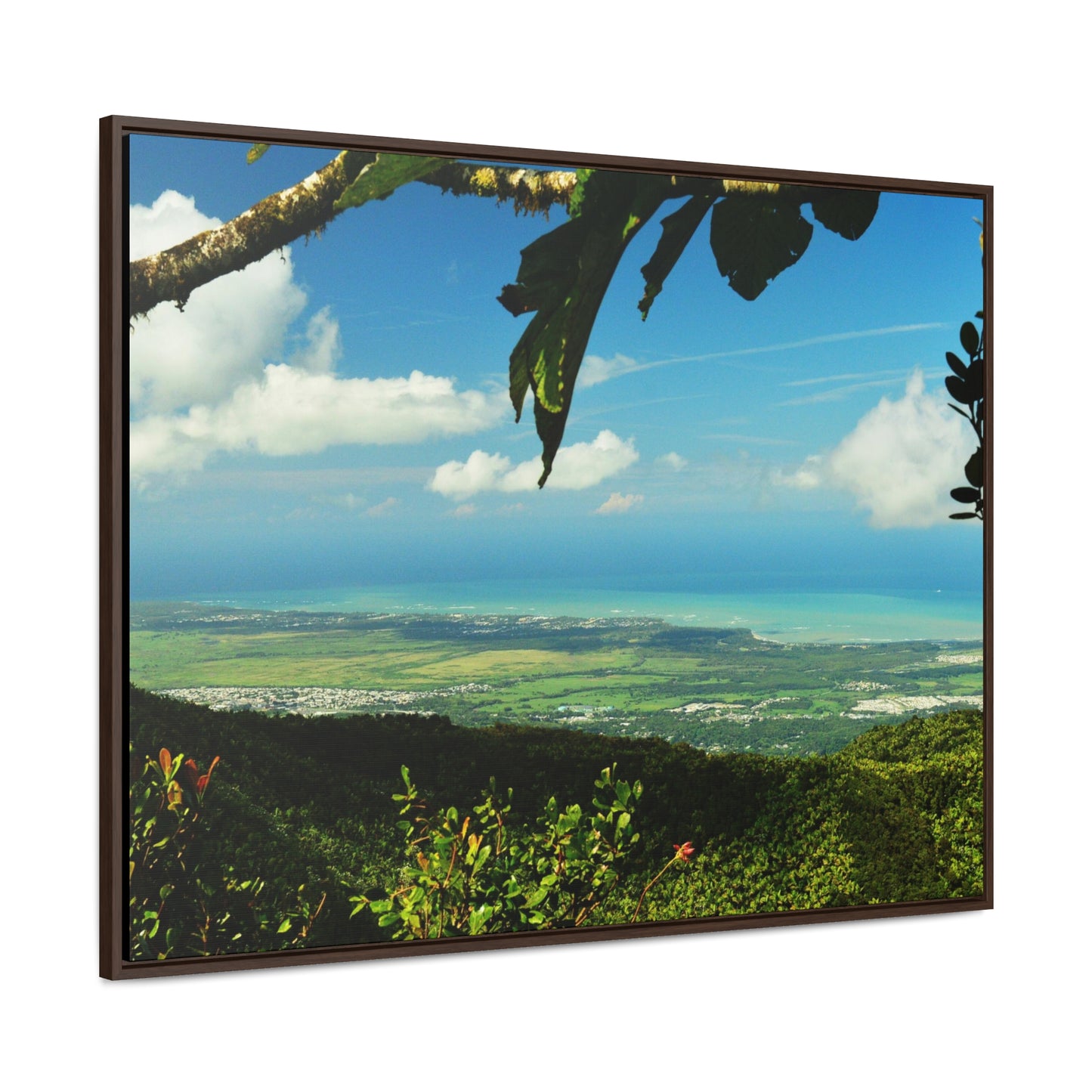 Rainforest Trails & Views - Gallery Canvas Wraps, Horizontal Frame - El Yunque National Forest - Puerto Rico - View from Tres Picachos - El Yunque Trail - Green Forest Home