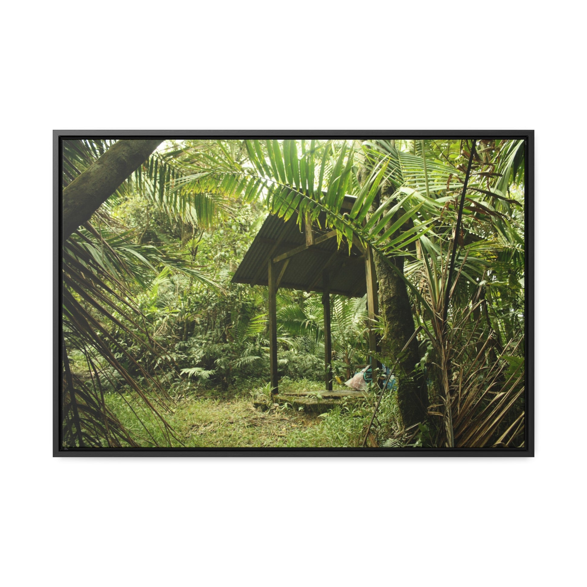 Rainforest Trails & Views - Gallery Canvas Wraps, Horizontal Frame - El Yunque National Forest - Puerto Rico - Tradewinds Trail shelter - Green Forest Home