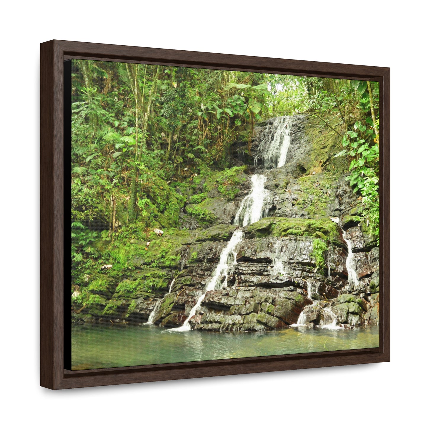 Rainforest Trails & Views - Gallery Canvas Wraps, Horizontal Frame - El Yunque National Forest - Puerto Rico - View from La Coca Trail - Green Forest Home