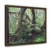 Rainforest Trails & Views - Gallery Canvas Wraps, Horizontal Frame - El Yunque National Forest - Puerto Rico - Tradewinds trail tree-jungle in the cloud forest - Green Forest Home