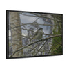 Rainforest Trails & Views - Gallery Canvas Wraps, Horizontal Frame - El Yunque National Forest - Puerto Rico - Color enhanced bird in Rio Sabana trail - Green Forest Home