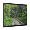 Rainforest Trails & Views - Gallery Canvas Wraps, Horizontal Frame - El Yunque National Forest - Puerto Rico - Closed PR191 forested road - Green Forest Home