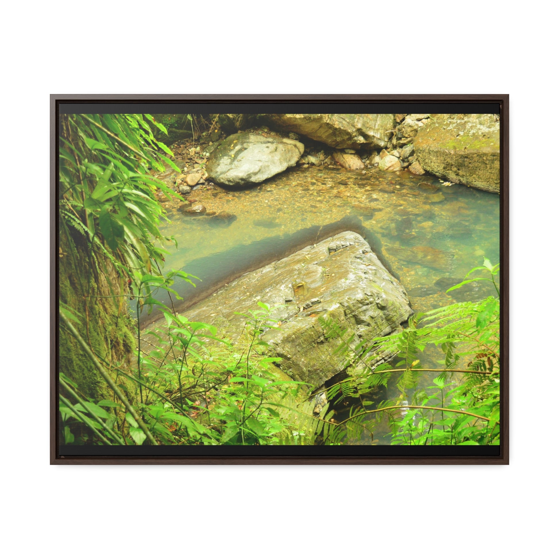 Rainforest Trails & Views - Gallery Canvas Wraps, Horizontal Frame - El Yunque National Forest - Puerto Rico - La Mina River & Trail - huge boulder - Green Forest Home