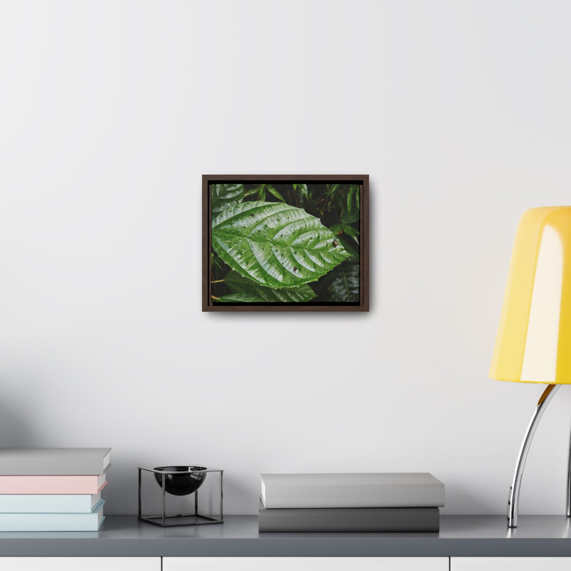 Rainforest Trails & Views - Gallery Canvas Wraps, Horizontal Frame - El Yunque National Forest - Rio Sabana road - Ortiga corrosive plant leaf - Green Forest Home