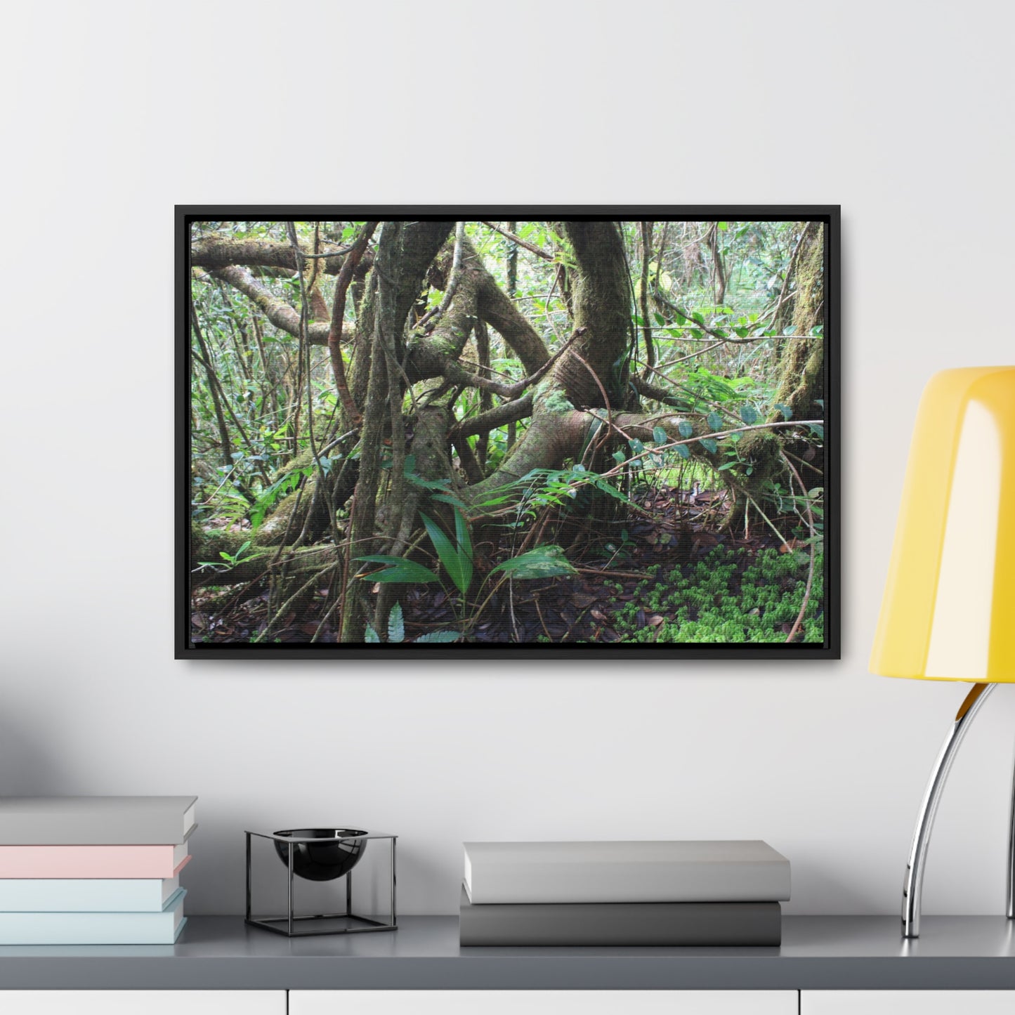 Rainforest Trails & Views - Gallery Canvas Wraps, Horizontal Frame - El Yunque National Forest - Puerto Rico - Tradewinds trail tree-jungle in the cloud forest - Green Forest Home