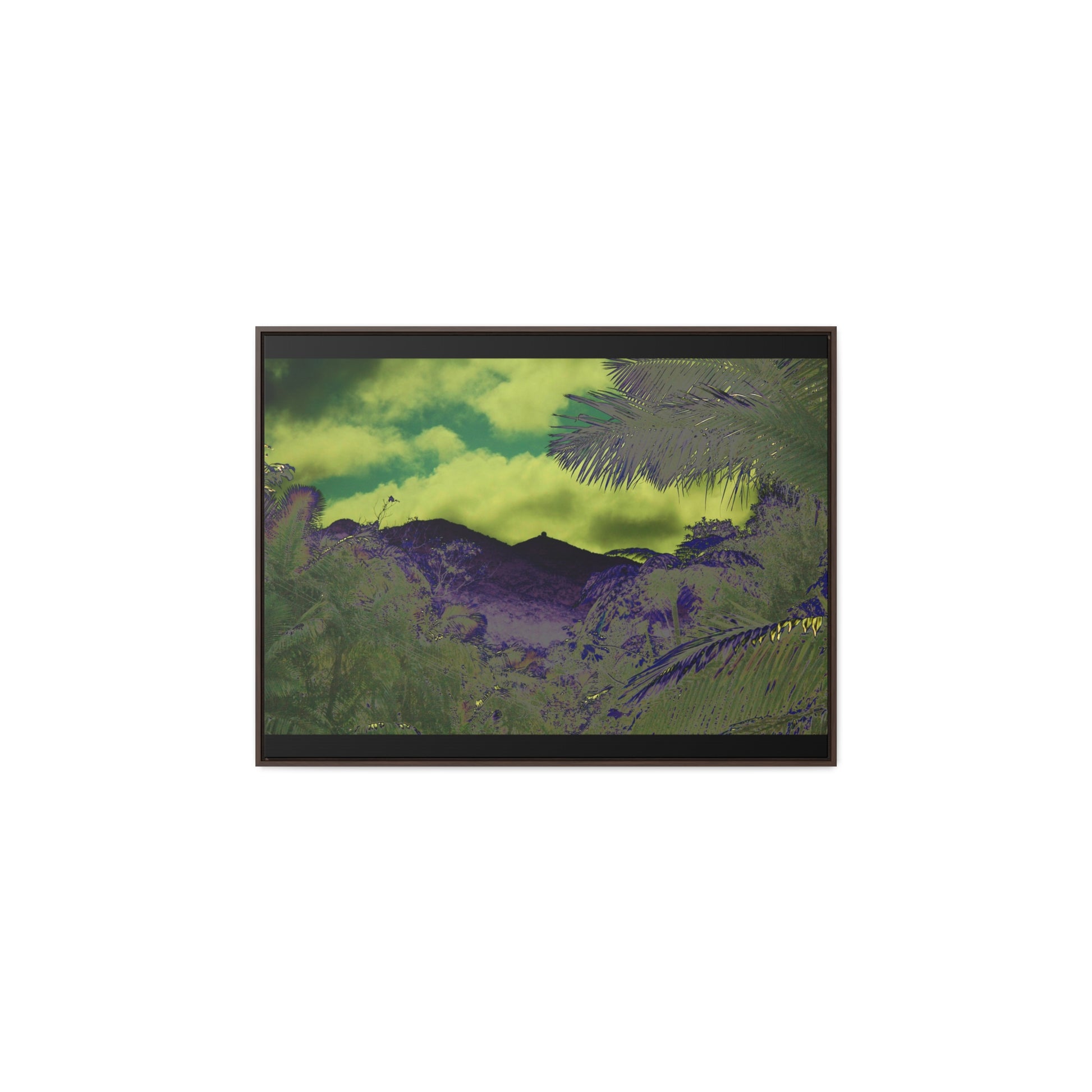 Rainforest Trails & Views - Gallery Canvas Wraps, Horizontal Frame - El Yunque National Forest - Puerto Rico - Mt Britton road view of Mt Britton - color enhanced - Green Forest Home