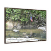 Rainforest Trails & Views - Gallery Canvas Wraps, Horizontal Frame - El Yunque National Forest - Rio Sabana Park and pond - Green Forest Home