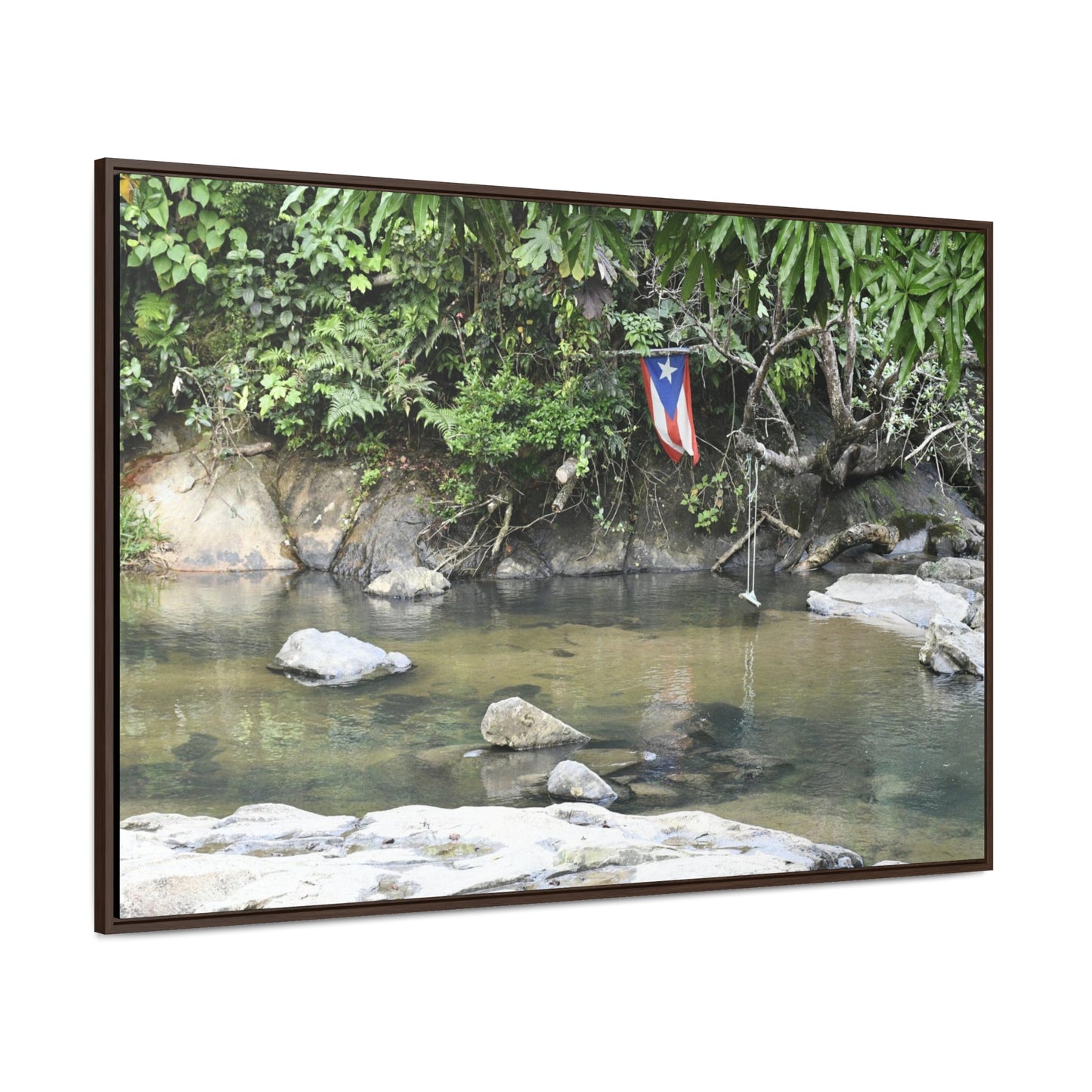 Rainforest Trails & Views - Gallery Canvas Wraps, Horizontal Frame - El Yunque National Forest - Rio Sabana Park and pond - Green Forest Home