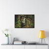 Rainforest Trails & Views - Gallery Canvas Wraps, Horizontal Frame - El Yunque National Forest - Puerto Rico - Tradewinds where streams begin - Green Forest Home