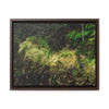 Rainforest Trails & Views - Gallery Canvas Wraps, Horizontal Frame - El Yunque National Forest - PR - PR191 closed road - Huge Boulder with moss - Green Forest Home