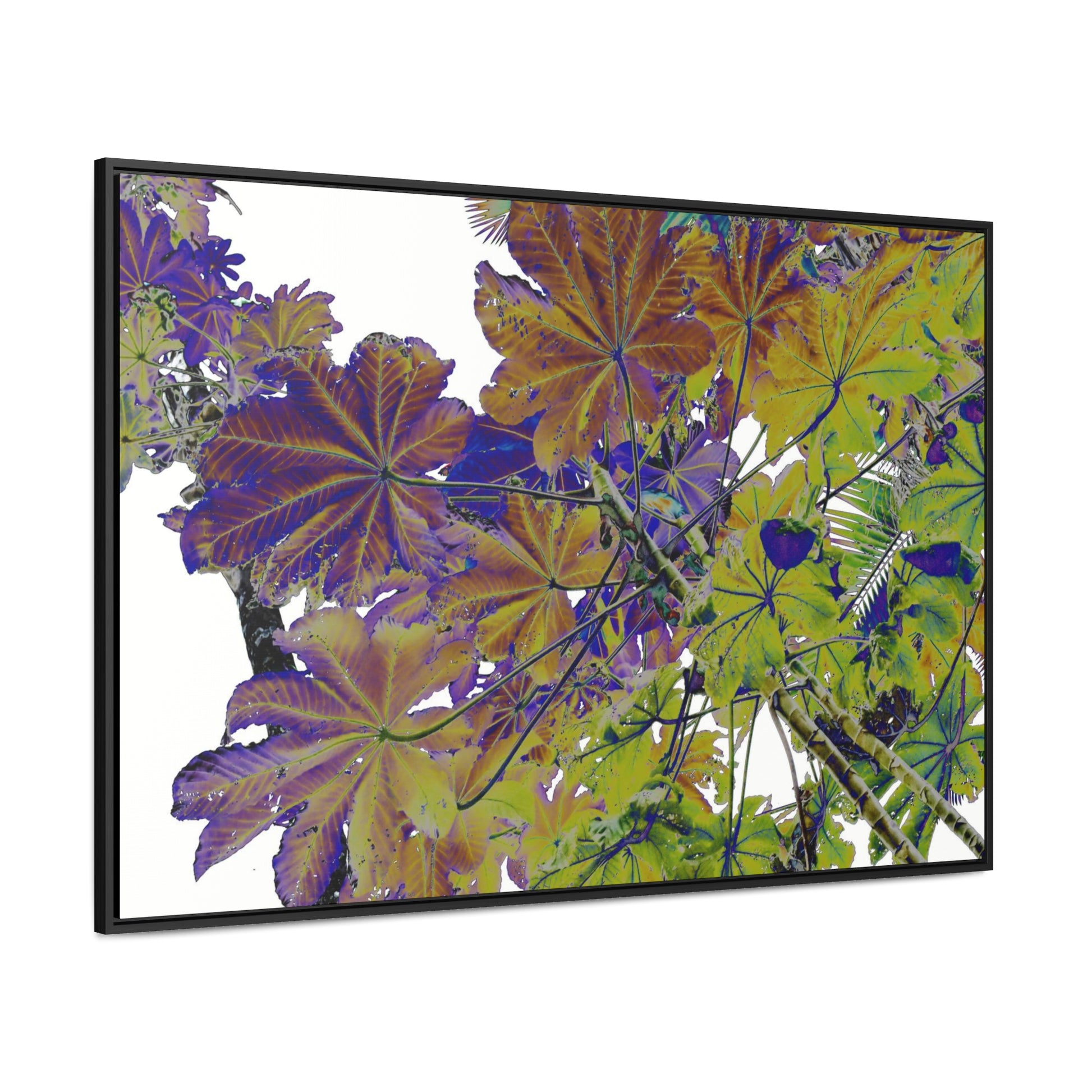 Rainforest Trails & Views - Gallery Canvas Wraps, Horizontal Frame - El Yunque National Forest - Puerto Rico - Rio Sabana Trail Yagrumo leaves - color enhanced - Green Forest Home