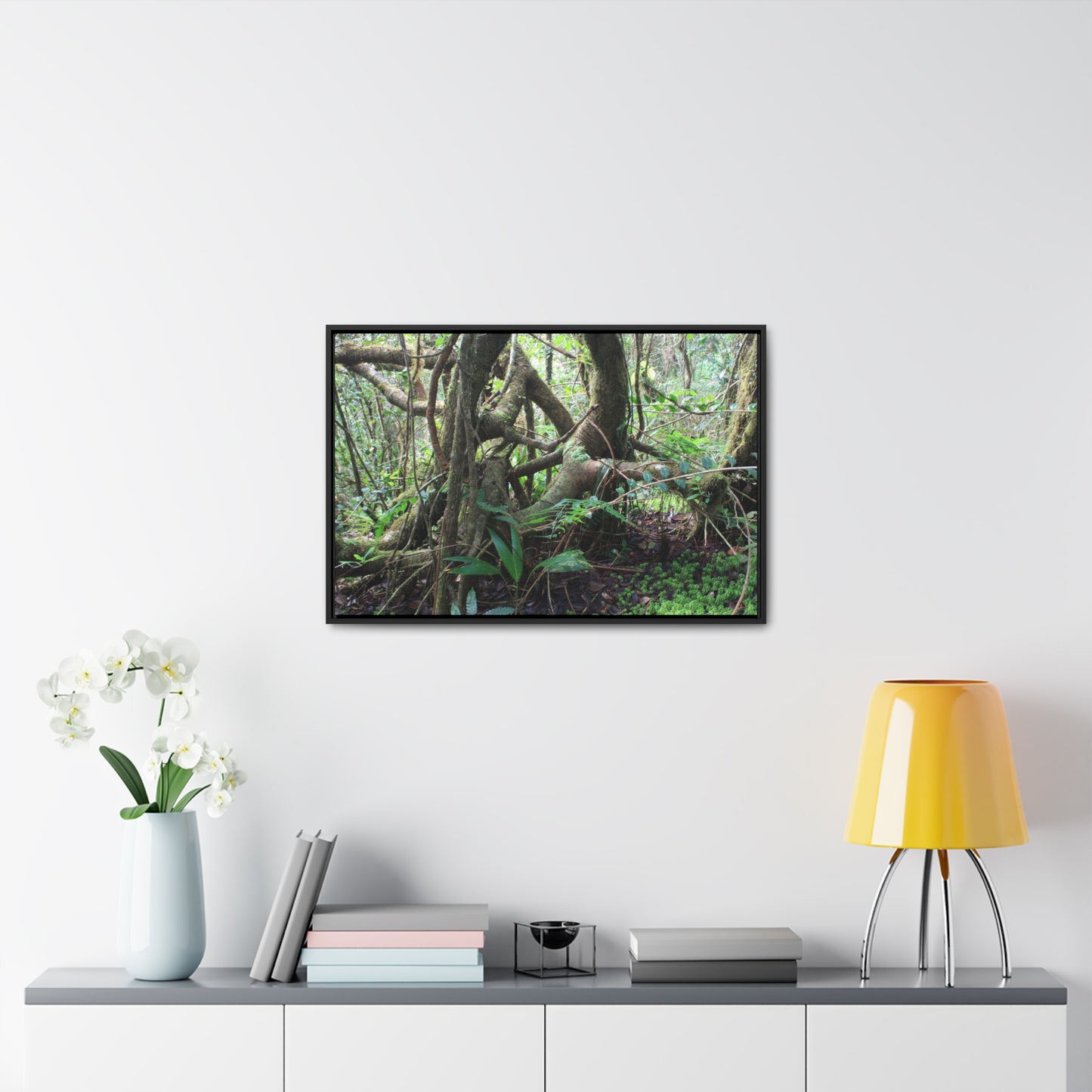 Rainforest Trails & Views - Gallery Canvas Wraps, Horizontal Frame - El Yunque National Forest - Puerto Rico - Tradewinds trail tree-jungle in the cloud forest - Green Forest Home