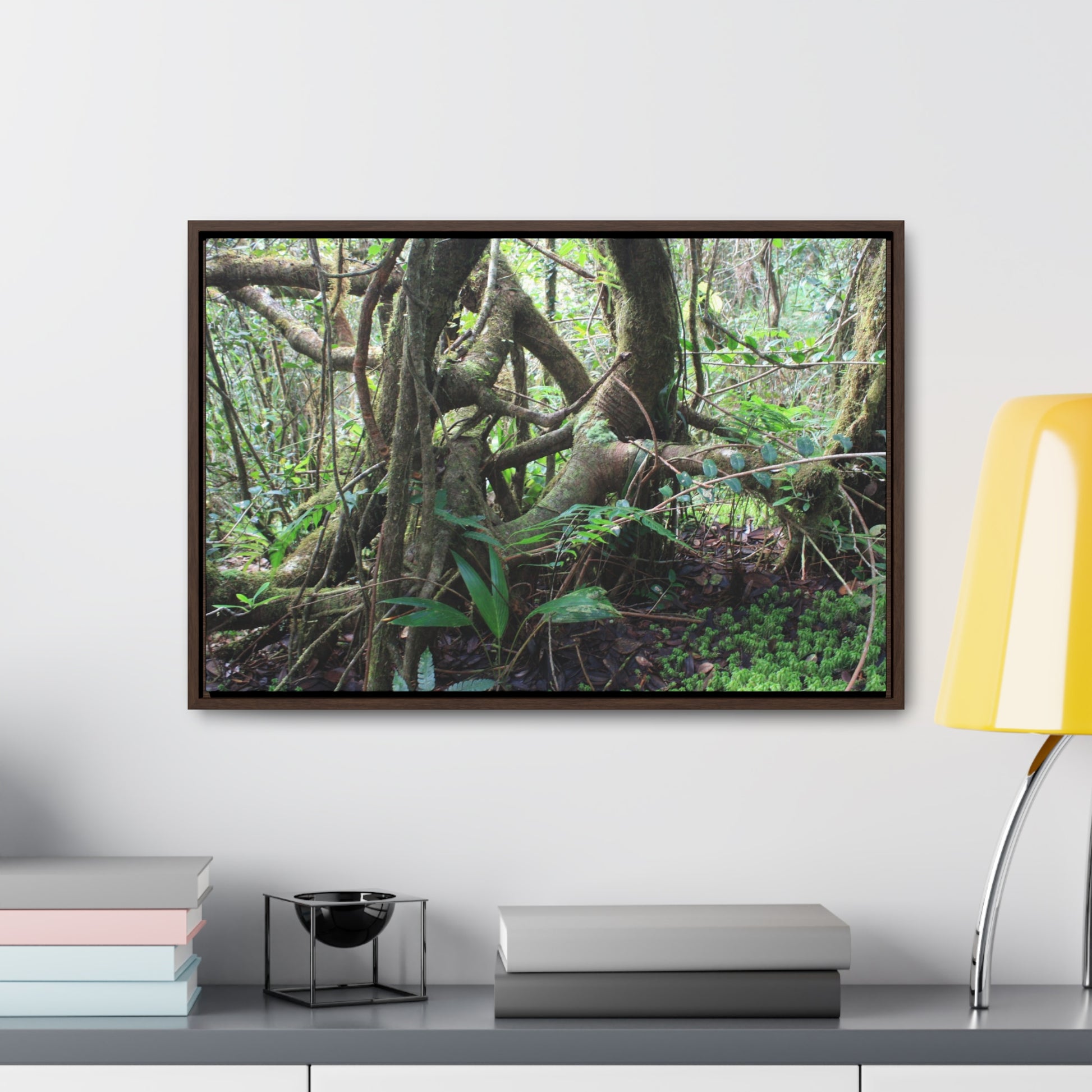 Rainforest Trails & Views - Gallery Canvas Wraps, Horizontal Frame - El Yunque National Forest - Puerto Rico - Tradewinds trail tree-jungle in the cloud forest - Green Forest Home