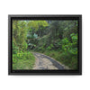 Rainforest Trails & Views - Gallery Canvas Wraps, Horizontal Frame - El Yunque National Forest - Puerto Rico - Closed PR191 forested road - Green Forest Home