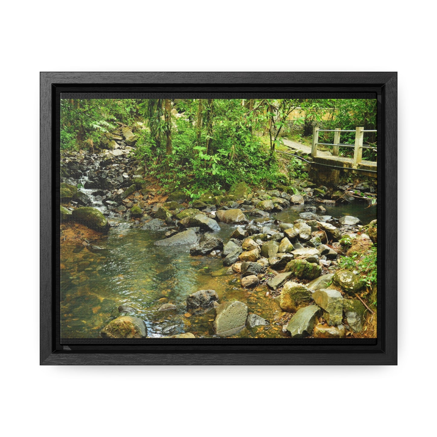 Rainforest Trails & Views - Gallery Canvas Wraps, Horizontal Frame - El Yunque National Forest - Puerto Rico - The Famous La Mina Trail & River - Green Forest Home