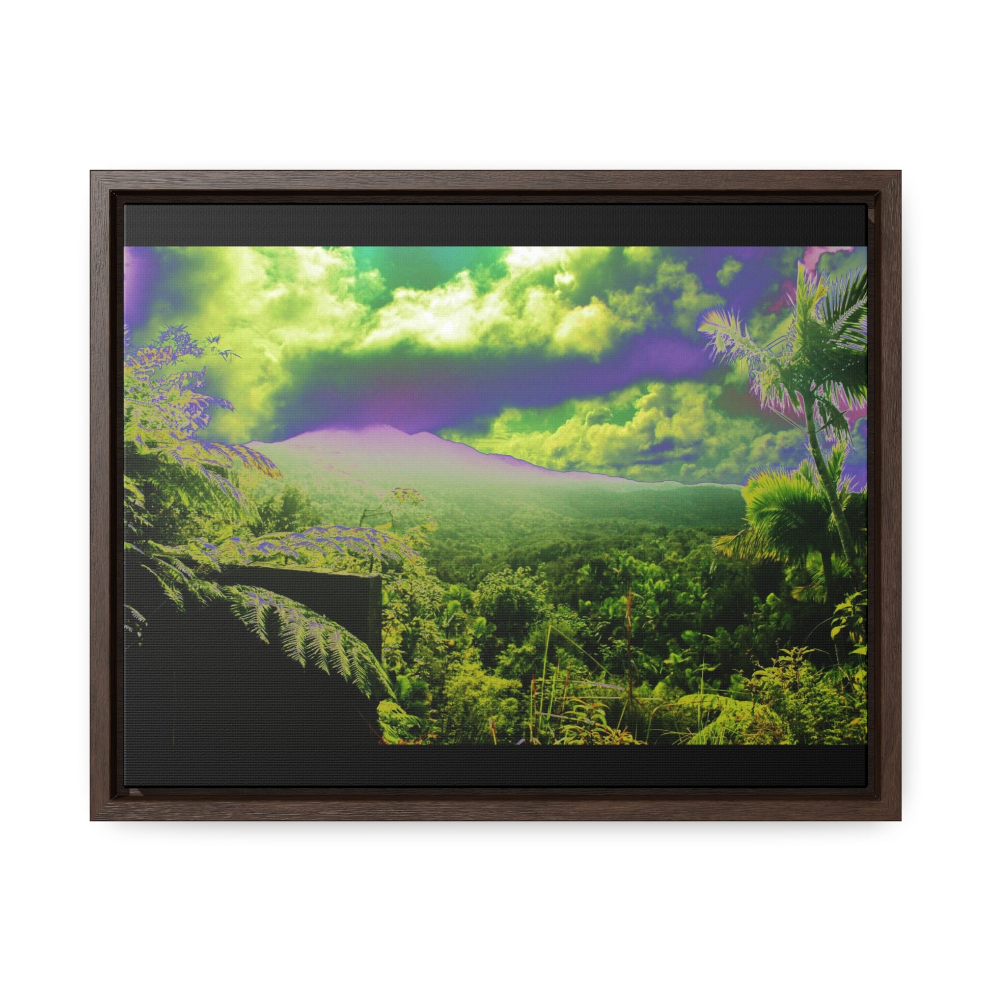 Rainforest Trails & Views - Gallery Canvas Wraps, Horizontal Frame - El Yunque National Forest - Puerto Rico - Closed PR 191 road view - color enhanced - Green Forest Home