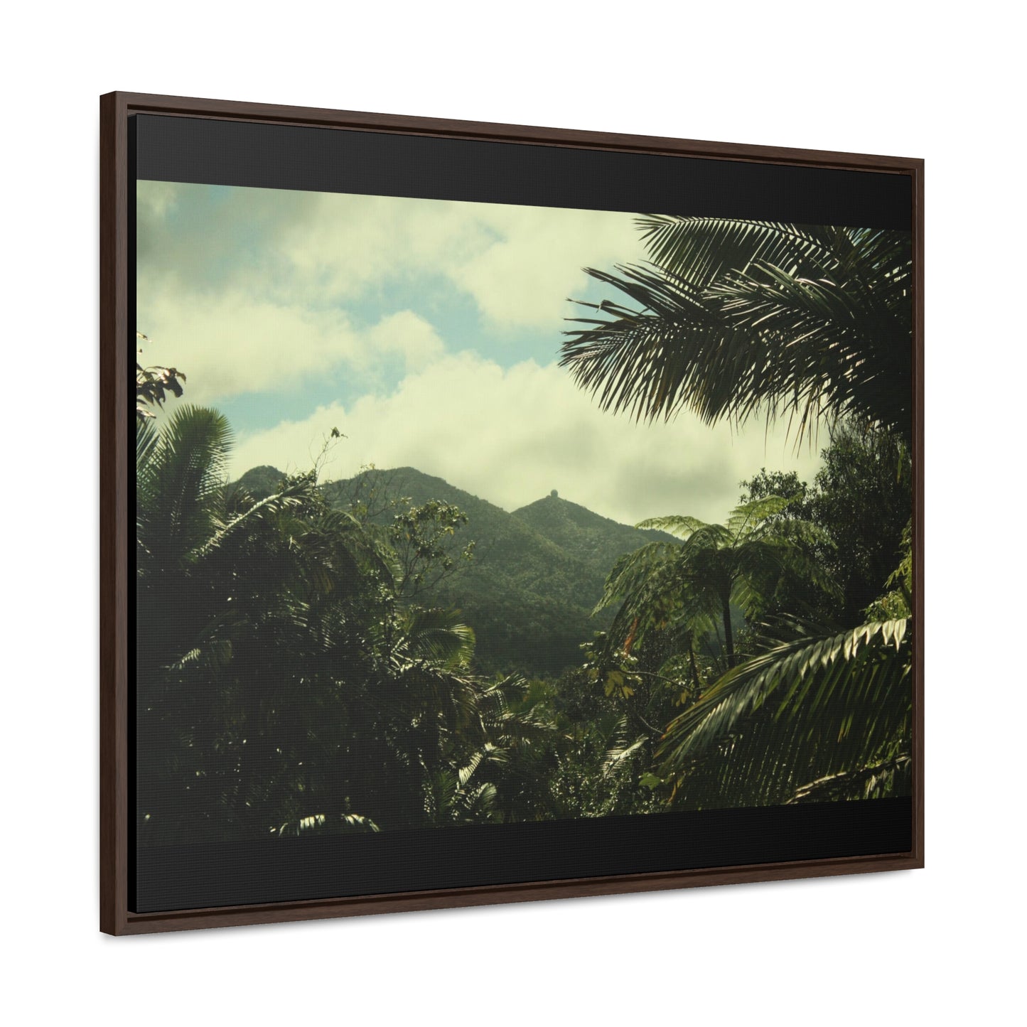 Rainforest Trails & Views - Gallery Canvas Wraps, Horizontal Frame - El Yunque National Forest - Puerto Rico - View of East Peak radars from closed road PR 191 - Green Forest Home