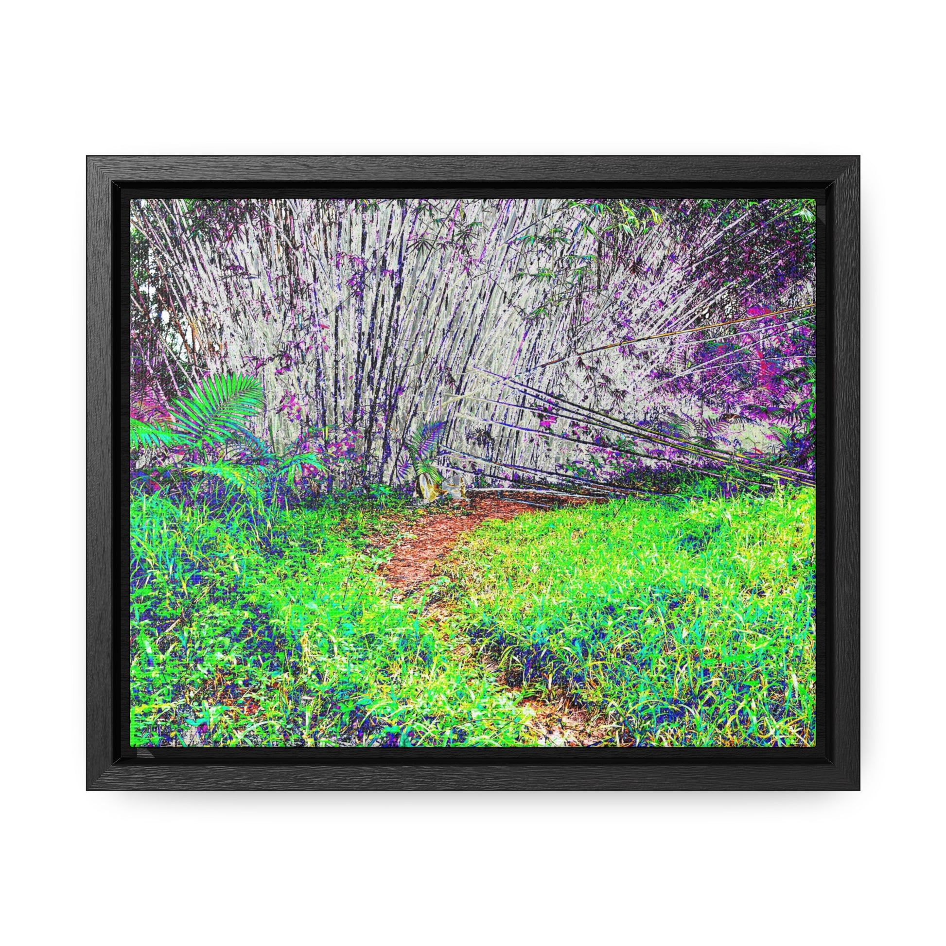 Rainforest Trails & Views - Gallery Canvas Wraps, Horizontal Frame - El Yunque National Forest - Puerto Rico - Path in camping zone near peaks - Color Enhanced - Green Forest Home