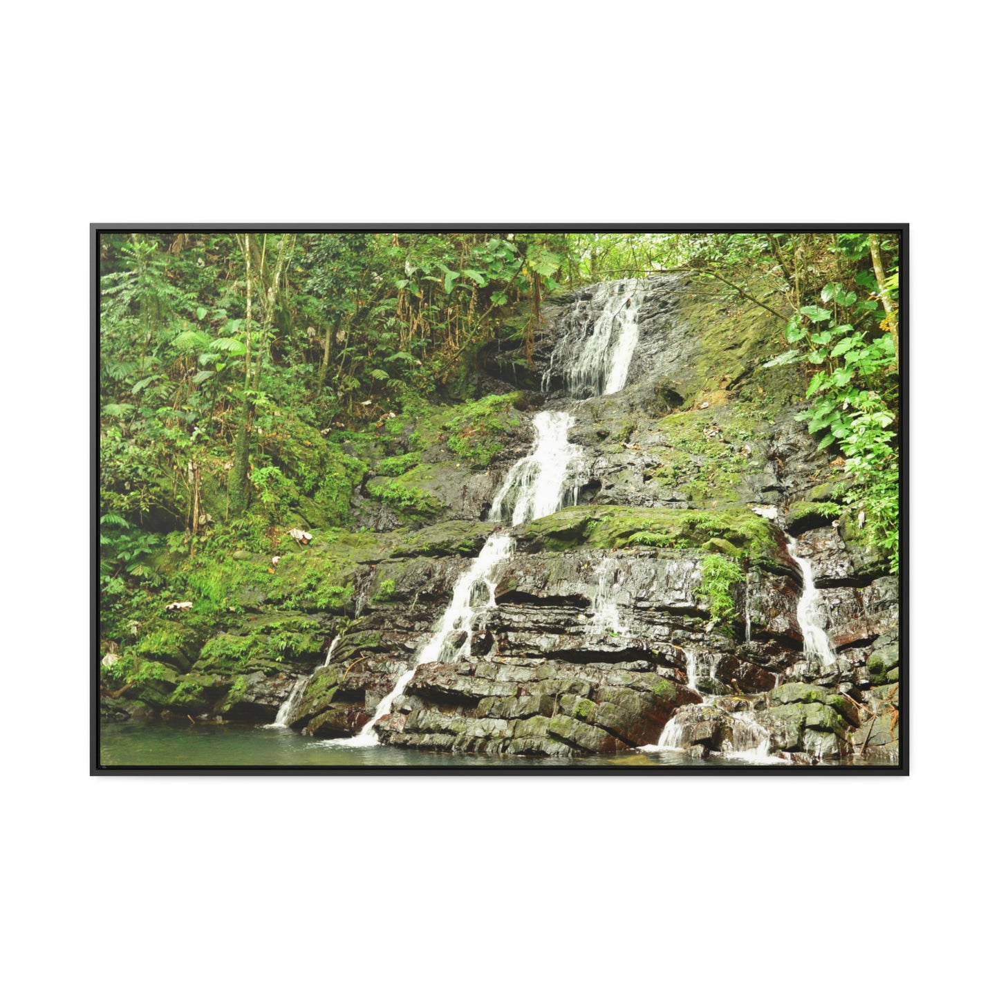 Rainforest Trails & Views - Gallery Canvas Wraps, Horizontal Frame - El Yunque National Forest - Puerto Rico - View from La Coca Trail - Green Forest Home