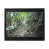 Rainforest Trails & Views - Gallery Canvas Wraps, Horizontal Frame - El Yunque National Forest - Puerto Rico - Early Tradewinds trail - Green Forest Home