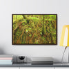 Rainforest Trails & Views - Gallery Canvas Wraps, Horizontal Frame - El Yunque National Forest - Puerto Rico - Deep forest explorations - reveal a boulder with 3 Sierra Palm red roots on it seeking the water level