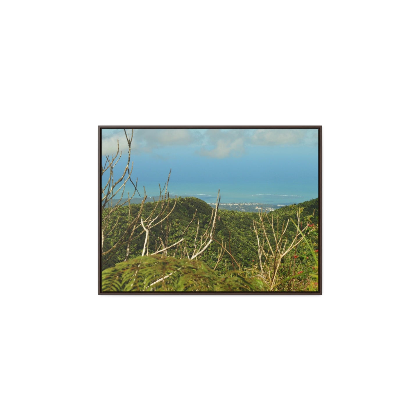 Rainforest Trails & Views - Gallery Canvas Wraps, Horizontal Frame - El Yunque National Forest - Puerto Rico - View from Tres Picachos - El Yunque Trail - Green Forest Home