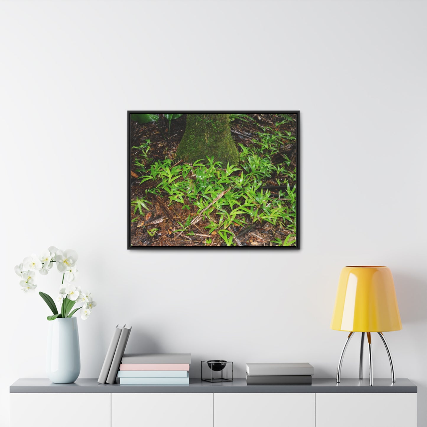 Rainforest Trails & Views - Gallery Canvas Wraps, Horizontal Frame - El Yunque National Forest - Puerto Rico - The tender Sierra Tree Palm protects here babies plants in the shade below