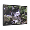 Rainforest Trails & Views - Gallery Canvas Wraps, Horizontal Frame - El Yunque National Forest - Puerto Rico - Juan Diego Trail & River - Green Forest Home