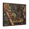 Rainforest Trails & Views - Gallery Canvas Wraps, Horizontal Frame - El Yunque National Forest - Puerto Rico - The dense forest ground near the top of PR 191 - the red root is a Sierra Palm root - Green Forest Home