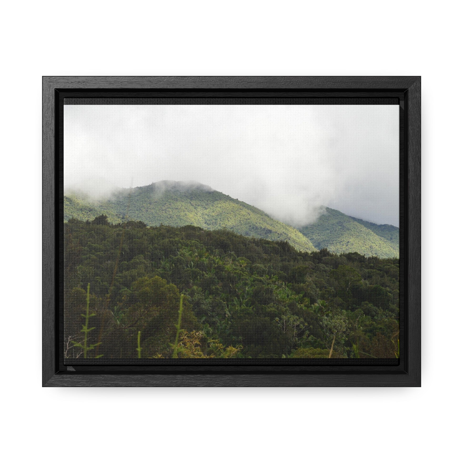 Rainforest Trails & Views - Gallery Canvas Wraps, Horizontal Frame - El Yunque National Forest - Puerto Rico - View from Closed PR191 road - Green Forest Home