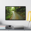 Rainforest Trails & Views - Gallery Canvas Wraps, Horizontal Frame - El Yunque National Forest - Puerto Rico - The winding El Yunque main road PR 191 near the top