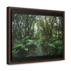 Rainforest Trails & Views - Gallery Canvas Wraps, Horizontal Frame - El Yunque National Forest - Puerto Rico - Tradewinds trail cloud forest - Green Forest Home