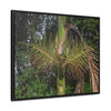 Rainforest Trails & Views - Gallery Canvas Wraps, Horizontal Frame - El Yunque National Forest - Puerto Rico - A close view of the Sierra Palm tree