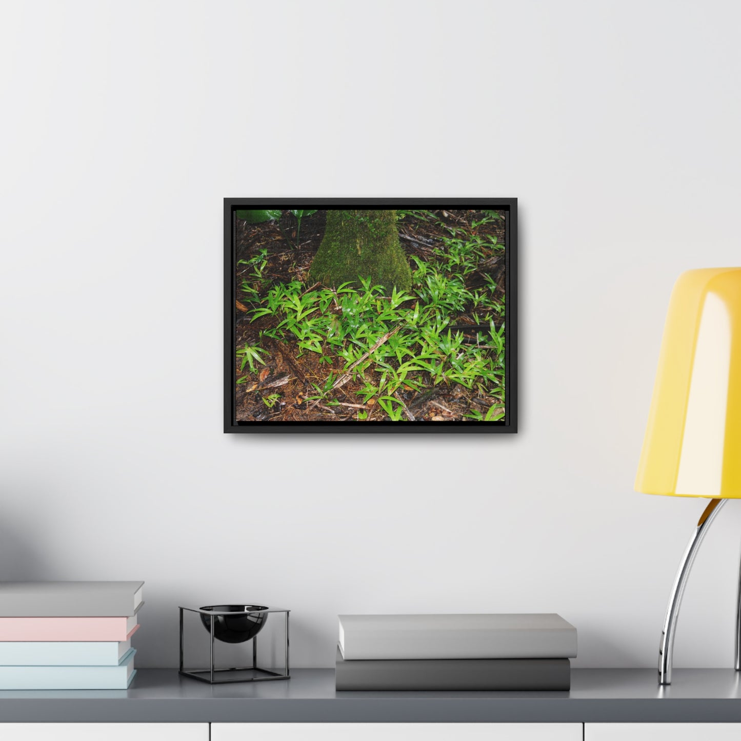 Rainforest Trails & Views - Gallery Canvas Wraps, Horizontal Frame - El Yunque National Forest - Puerto Rico - The tender Sierra Tree Palm protects here babies plants in the shade below