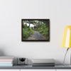 Rainforest Trails & Views - Gallery Canvas Wraps, Horizontal Frame - El Yunque National Forest - Puerto Rico - PR191 Closed forest road - Green Forest Home