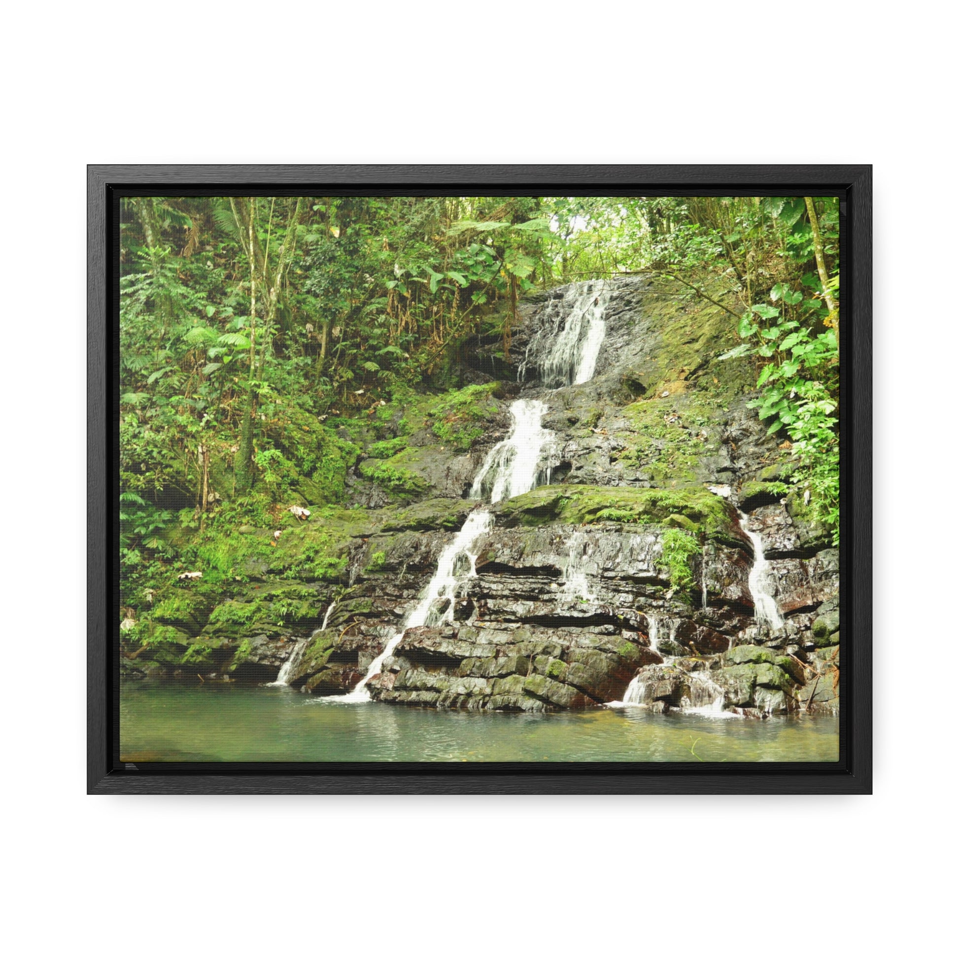 Rainforest Trails & Views - Gallery Canvas Wraps, Horizontal Frame - El Yunque National Forest - Puerto Rico - View from La Coca Trail - Green Forest Home