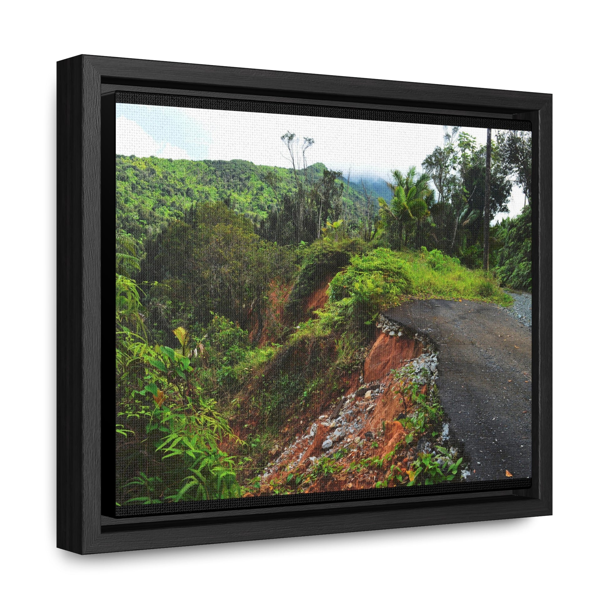 Rainforest Trails & Views - Gallery Canvas Wraps, Horizontal Frame - El Yunque National Forest - Puerto Rico - Closed PR191 road & landlside - Green Forest Home