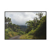 Rainforest Trails & Views - Gallery Canvas Wraps, Horizontal Frame - El Yunque National Forest - Puerto Rico - Closed PR191 forested road - Green Forest Home