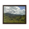 Rainforest Trails & Views - Gallery Canvas Wraps, Horizontal Frame - El Yunque National Forest - Puerto Rico - View from PR191 closed forest road - Green Forest Home