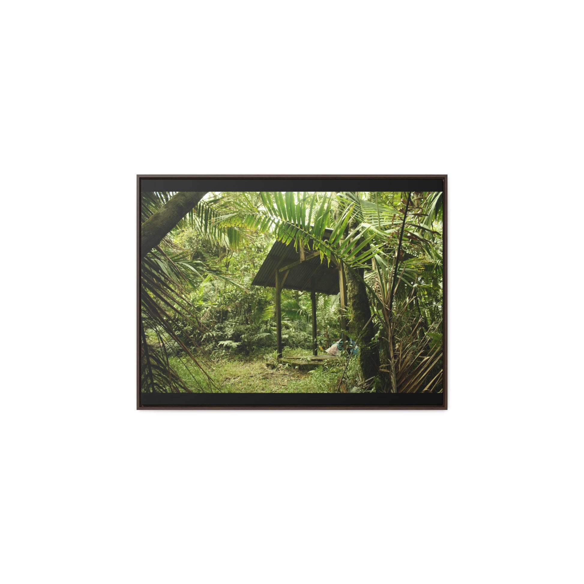 Rainforest Trails & Views - Gallery Canvas Wraps, Horizontal Frame - El Yunque National Forest - Puerto Rico - Tradewinds Trail shelter - Green Forest Home