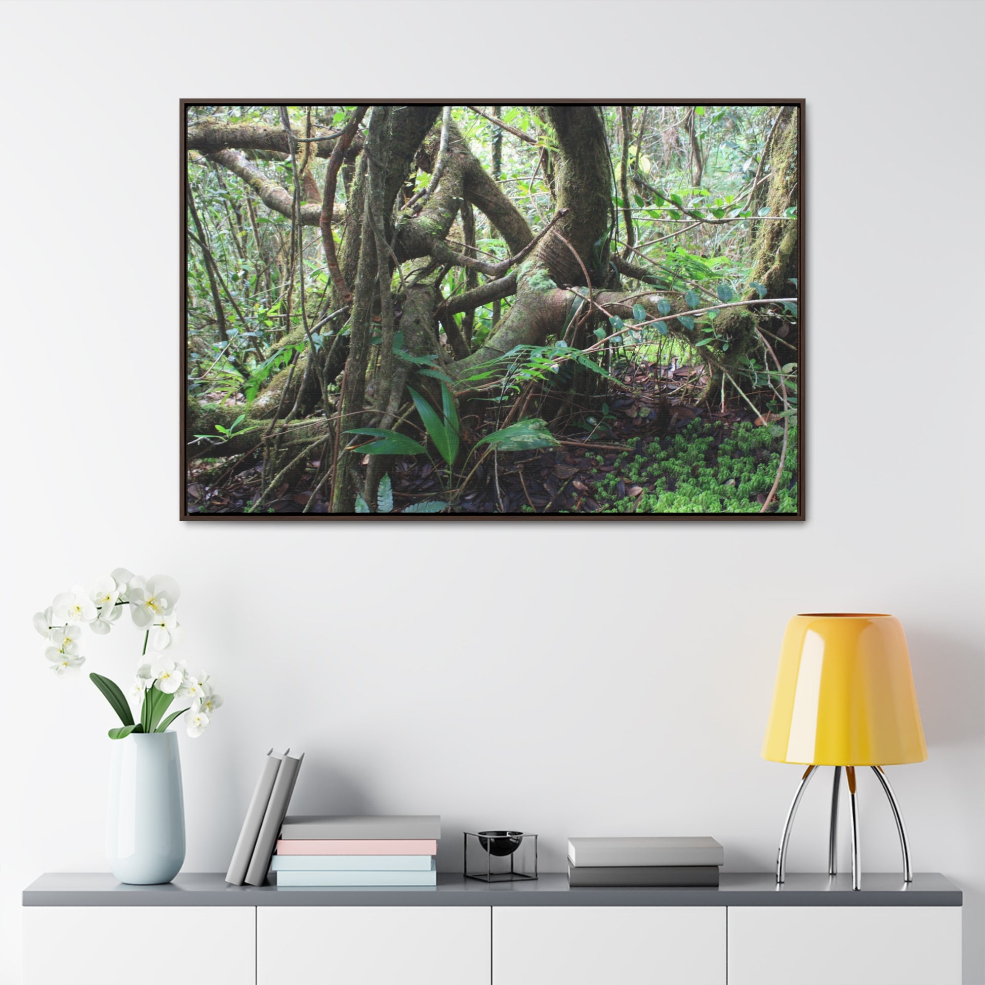 Rainforest Trails & Views - Gallery Canvas Wraps, Horizontal Frame - El Yunque National Forest - Puerto Rico - Tradewinds trail tree-jungle in the cloud forest - Green Forest Home