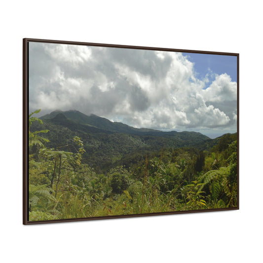 Rainforest Trails & Views - Gallery Canvas Wraps, Horizontal Frame - El Yunque National Forest - Puerto Rico - View from PR191 closed forest road - Green Forest Home