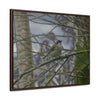 Rainforest Trails & Views - Gallery Canvas Wraps, Horizontal Frame - El Yunque National Forest - Puerto Rico - Color enhanced bird in Rio Sabana trail - Green Forest Home