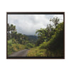 Rainforest Trails & Views - Gallery Canvas Wraps, Horizontal Frame - El Yunque National Forest - Puerto Rico - Closed PR191 forested road - Green Forest Home